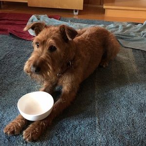 Meet your Posher, Lucy